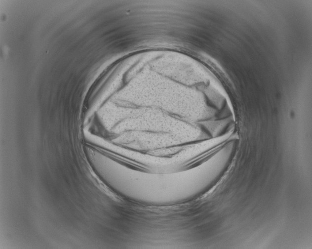 X0000066101236200604071814