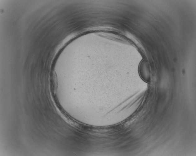 X0000066101237200604071814