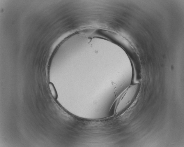 X0000066101238200604071814