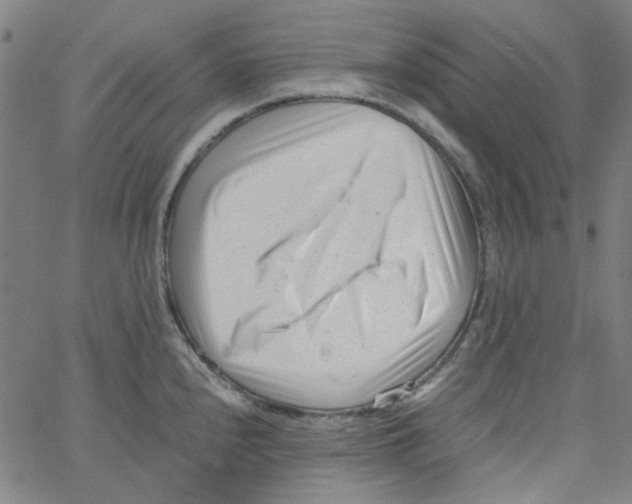 X0000066101240200604071814