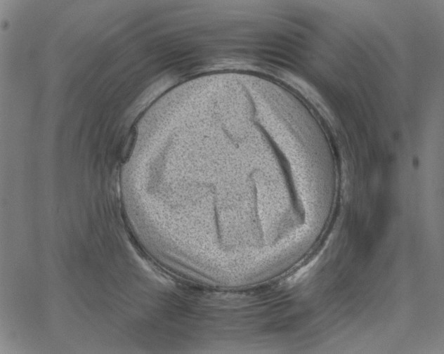 X0000066101241200604071814