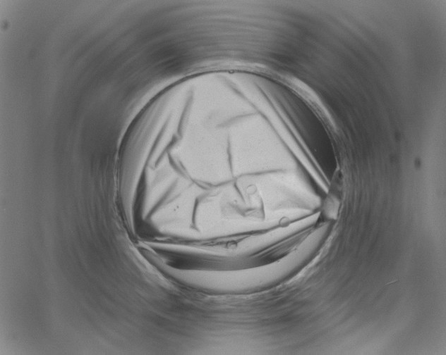 X0000066101244200604071814