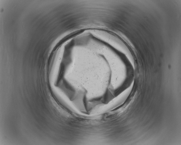 X0000066101246200604071814