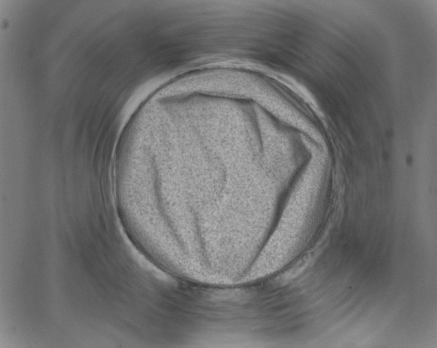 X0000066101247200604071814