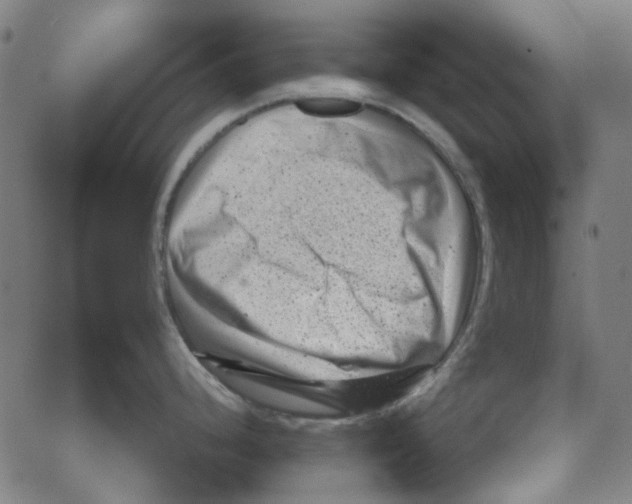 X0000066101248200604071814