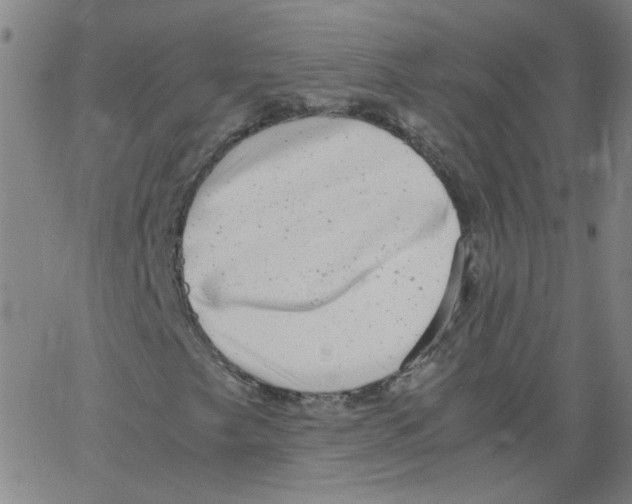 X0000066101249200604071813