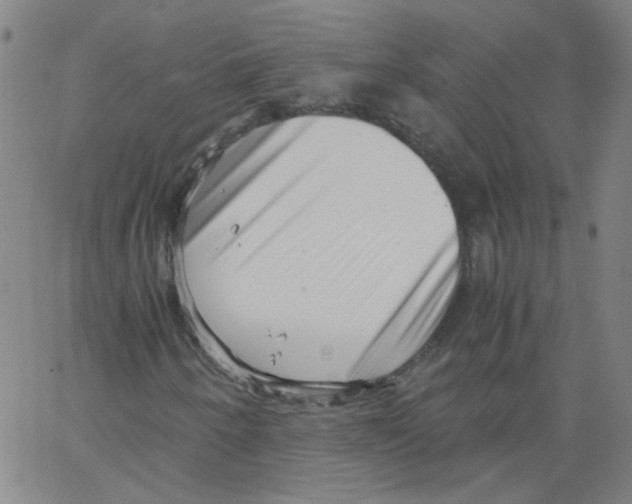 X0000066101250200604071813