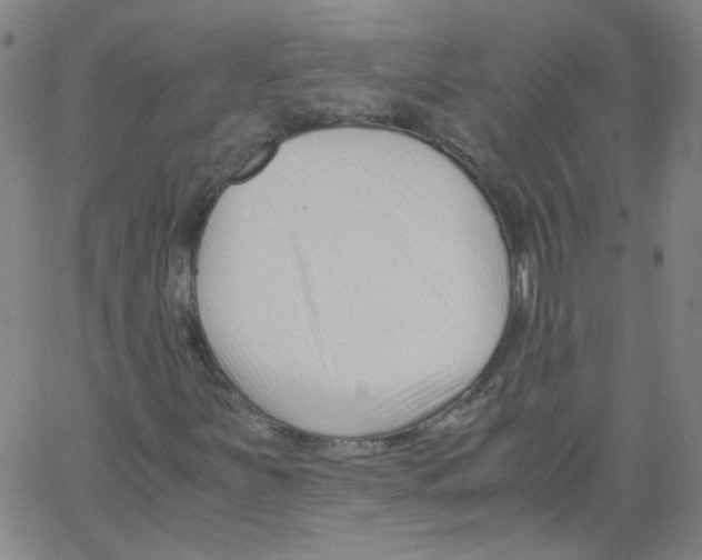 X0000066101251200604071813