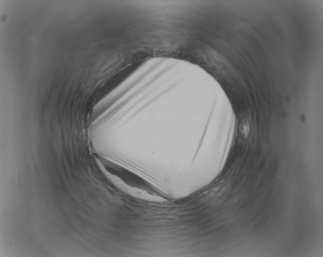 X0000066101252200604071813