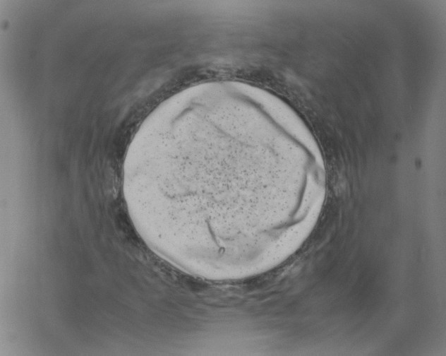 X0000066101253200604071813