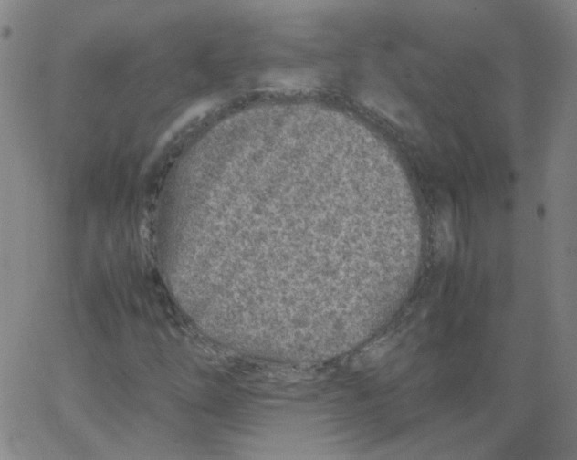 X0000066101254200604071813