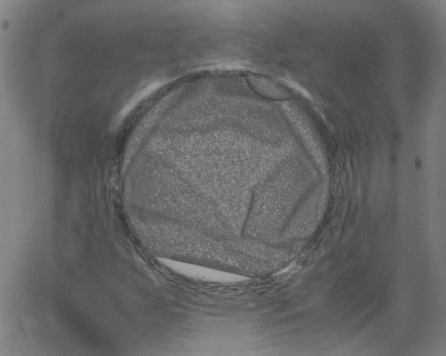 X0000066101255200604071813