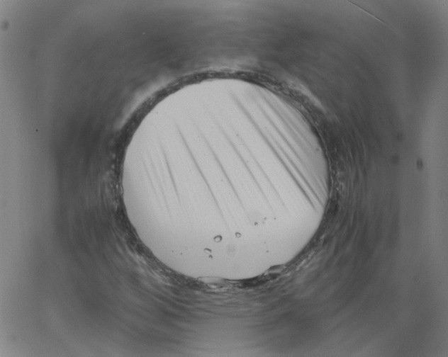 X0000066101256200604071813