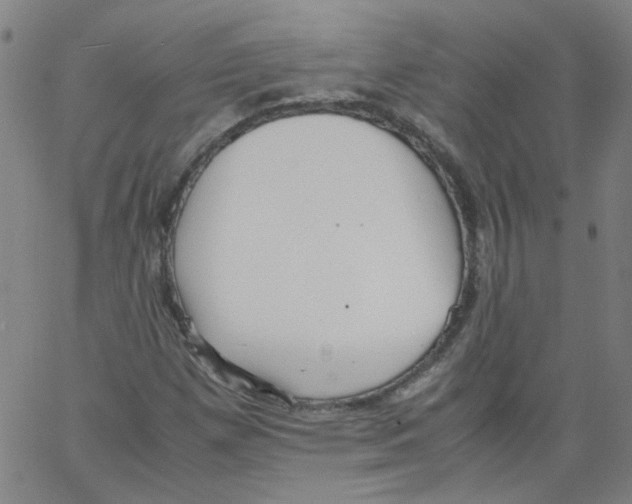 X0000066101257200604071813