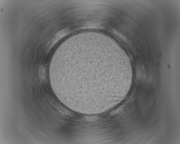 X0000066101258200604071813