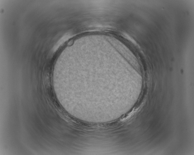 X0000066101259200604071813