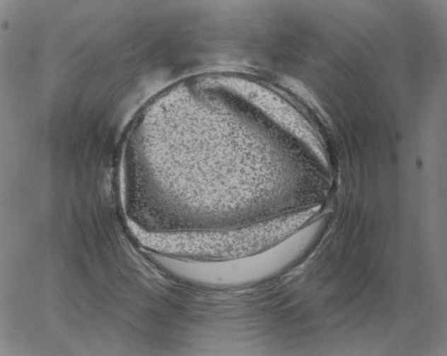 X0000066101260200604071813