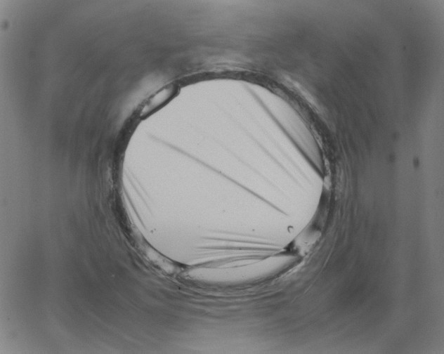 X0000066101261200604071813