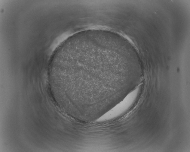 X0000066101263200604071813