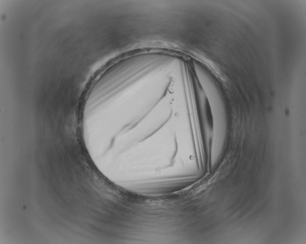 X0000066101264200604071813