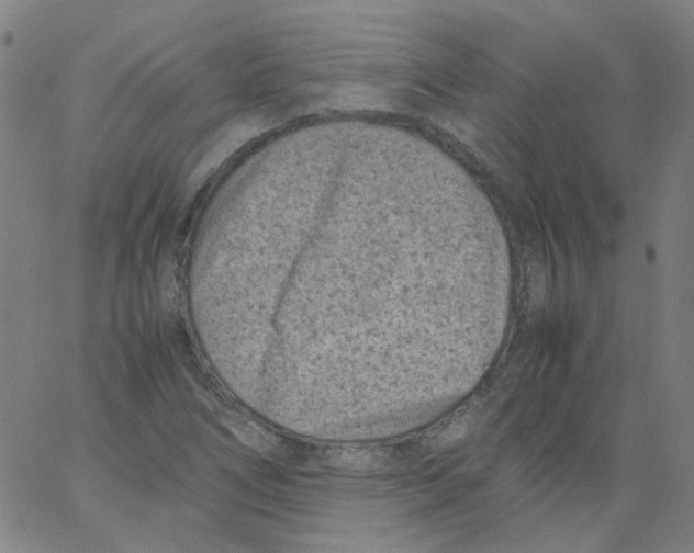 X0000066101266200604071813