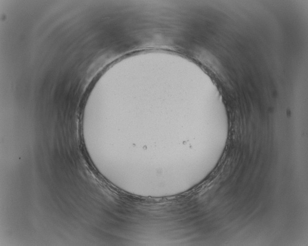 X0000066101268200604071813