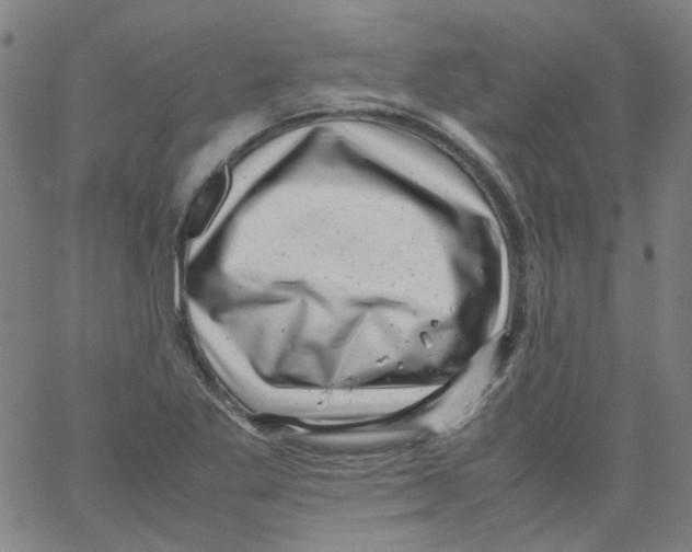 X0000066101269200604071813