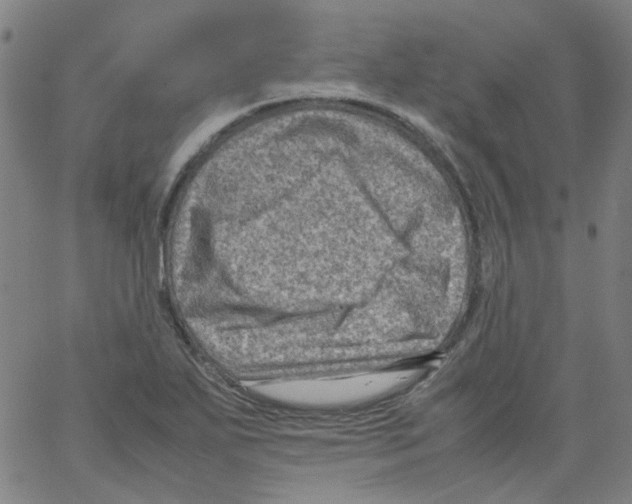 X0000066101271200604071813