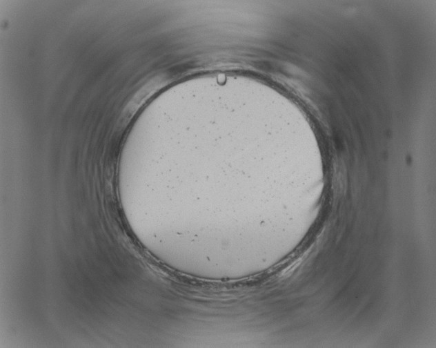 X0000066101273200604071813