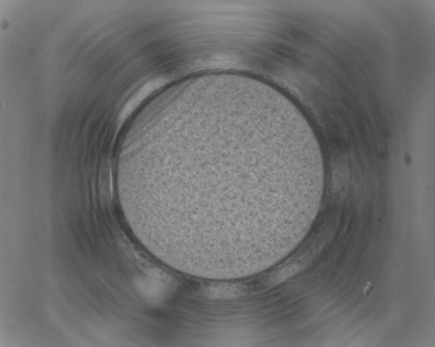 X0000066101274200604071813