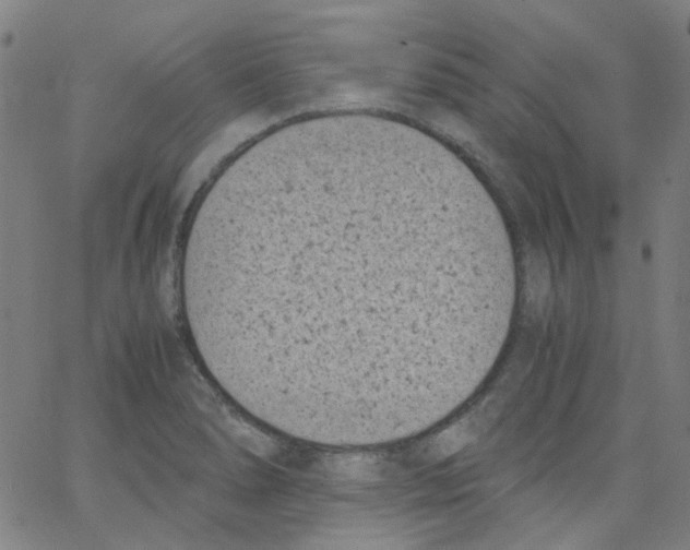 X0000066101278200604071813