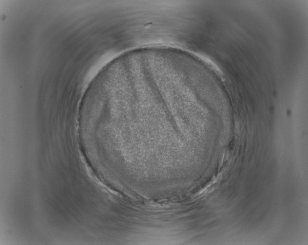 X0000066101279200604071813