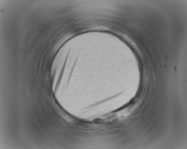 X0000066101281200604071813