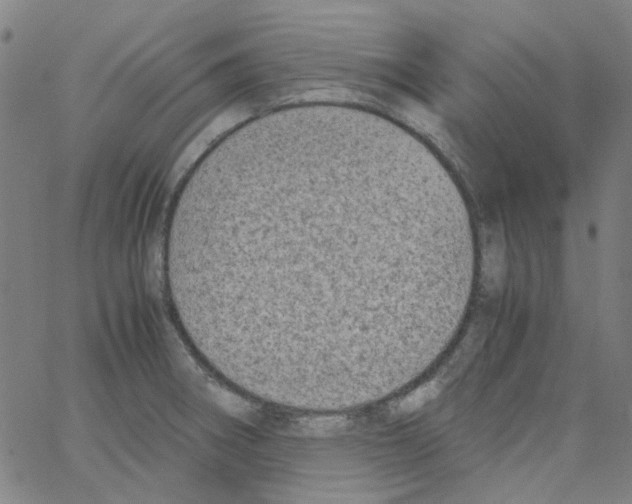 X0000066101282200604071813