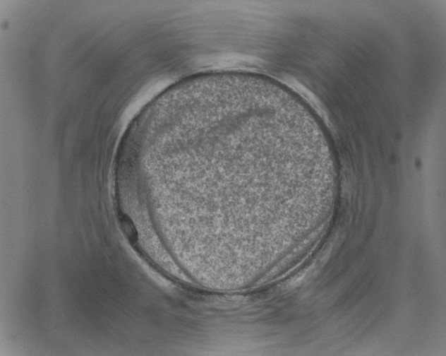 X0000066101285200604071813