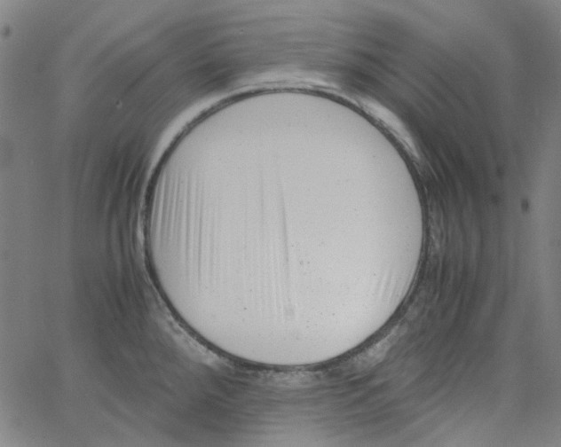 X0000066101288200604071813