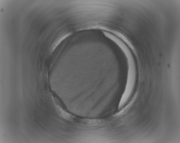 X0000066101289200604071813