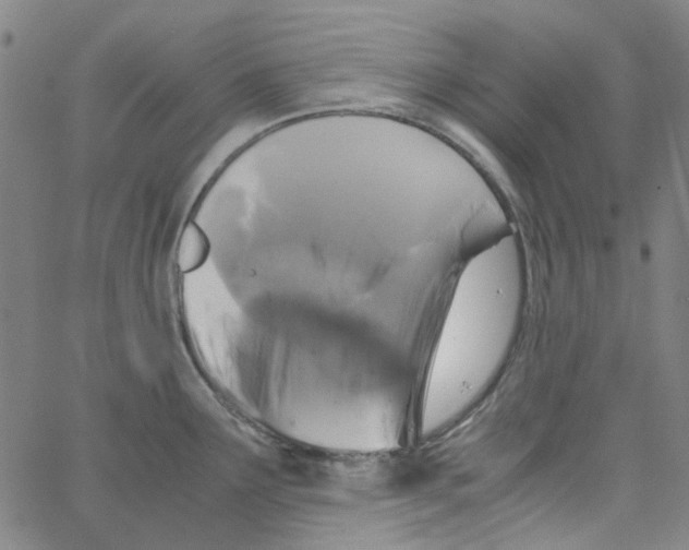 X0000066101291200604071813