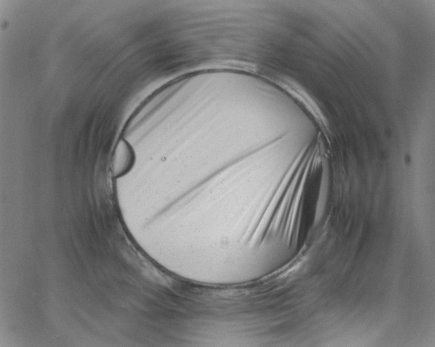 X0000066101292200604071813