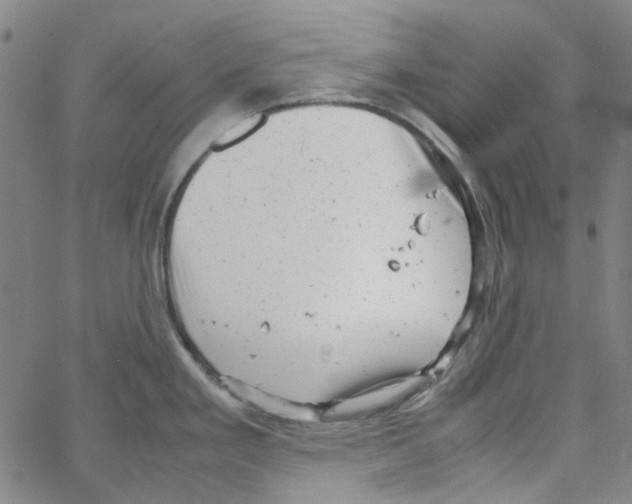 X0000066101293200604071813