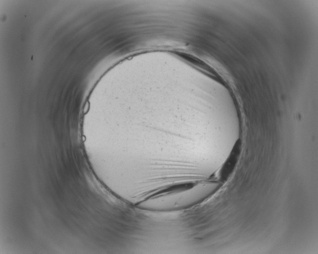 X0000066101296200604071813