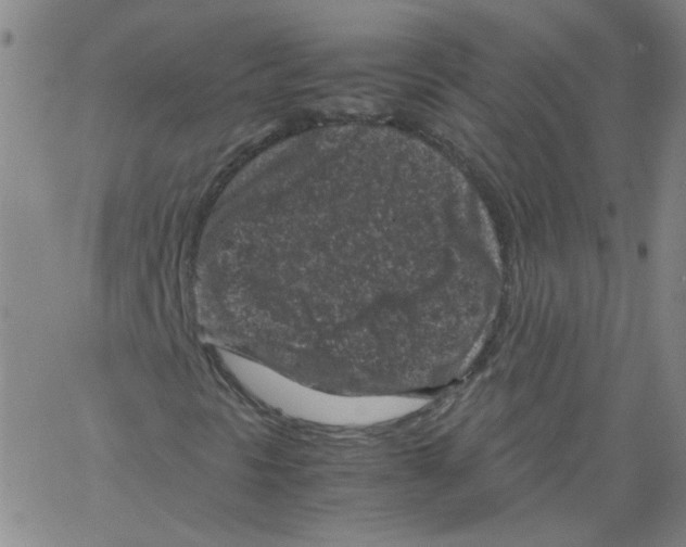 X0000066101297200604071812