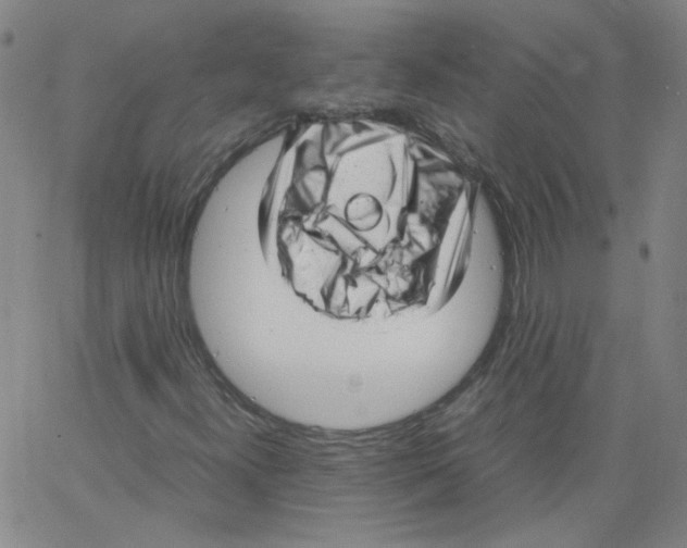 X0000066101300200604071812