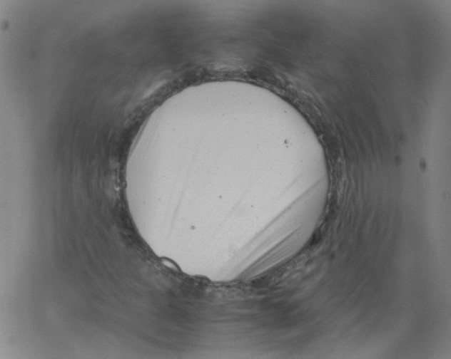 X0000066101301200604071812