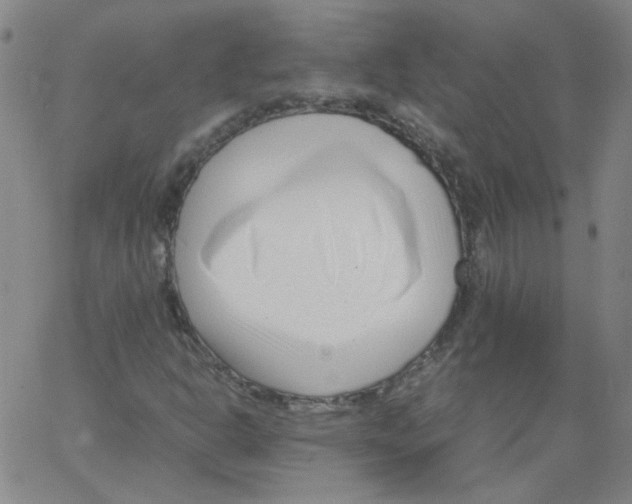 X0000066101302200604071812