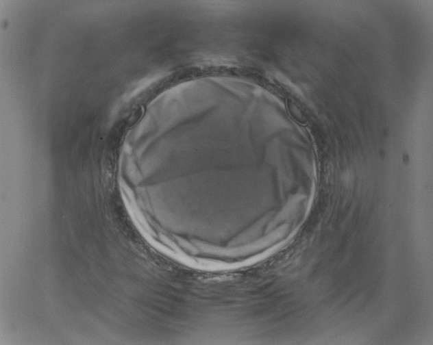 X0000066101303200604071812