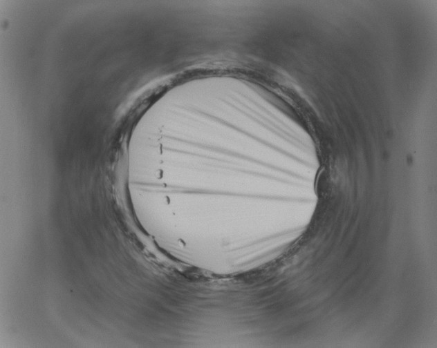 X0000066101304200604071812