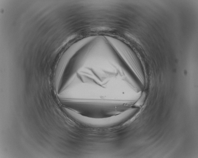 X0000066101305200604071812