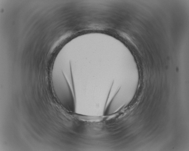 X0000066101307200604071812