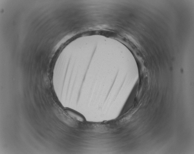 X0000066101308200604071812